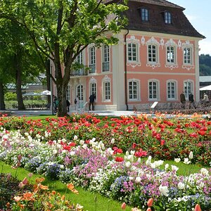 Stadtgarten 2