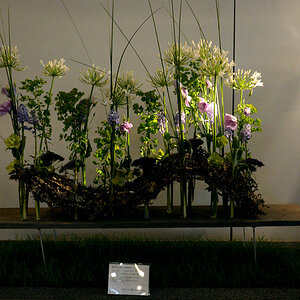 Blumenhalle