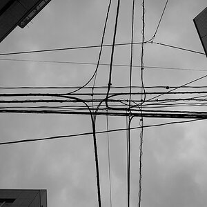 Tokyo 14 23 04 2014 1044055