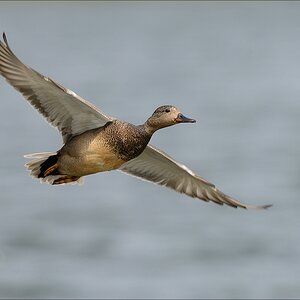 aacomp nabuwedel 20140518 0504