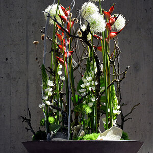 Blumenhalle2