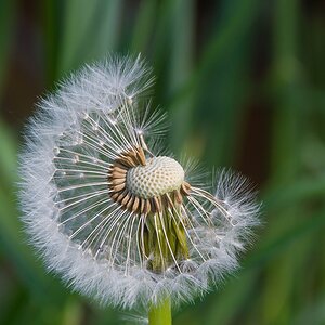 20140425 0926 [NIKON 1 V3] 100 mm,1 200 Sek. bei ƒ   6,3