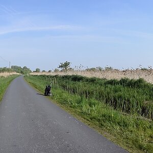 20140425 0921 [NIKON 1 V3] 10 mm,1 640 Sek. bei ƒ   4,5
