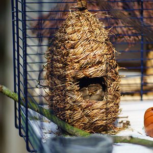 20140501 DSC00697