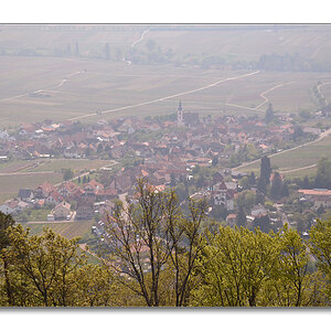 NFF Pfalz2014 Dorfblick