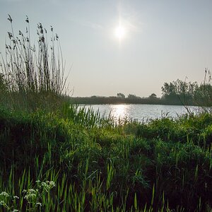 20140425 0850 [NIKON 1 V3] 10 mm,1 3200 Sek. bei ƒ   7,1