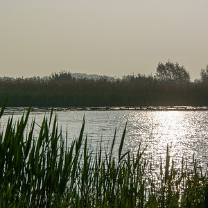 20140425 0851 [NIKON 1 V3] 40.6 mm,1 4000 Sek. bei ƒ   7,1