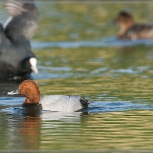 20140425 8013 [NIKON D7100] 850 mm,1 400 Sek. bei ƒ   8,0