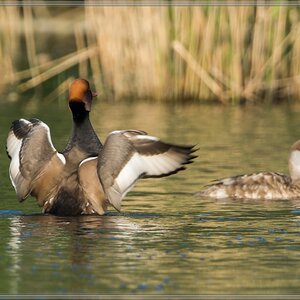 20140425 8031 [NIKON D7100] 850 mm,1 400 Sek. bei ƒ   8,0