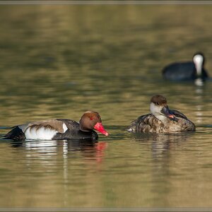 20140425 8076 [NIKON D7100] 850 mm,1 640 Sek. bei ƒ   8,0