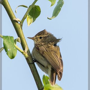 20140425 8035 [NIKON D7100] 850 mm,1 800 Sek. bei ƒ   8,0