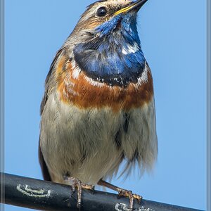 20140425 8167 [NIKON D7100] 850 mm,1 640 Sek. bei ƒ   8,0