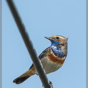 20140425 8252 [NIKON D7100] 850 mm,1 800 Sek. bei ƒ   8,0