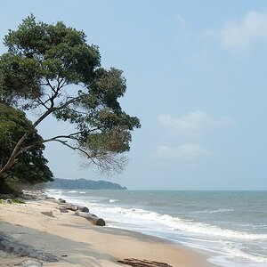 s527 Am Strand der Pongara Lodge 0281