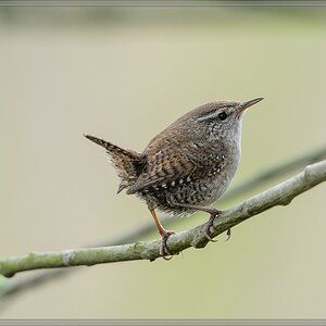 20140413 6059 [NIKON D4] 850 mm,1 400 Sek. bei ƒ   8,0
