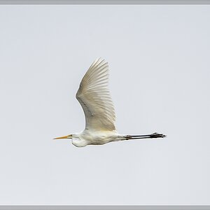 20140413 6131 [NIKON D4] 850 mm,1 1000 Sek. bei ƒ   8,0