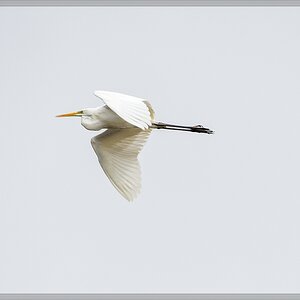 20140413 6130 [NIKON D4] 850 mm,1 1000 Sek. bei ƒ   8,0