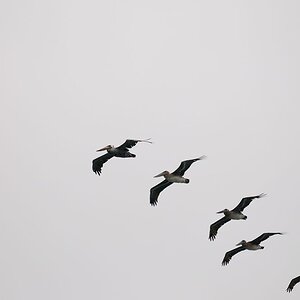 2013 07 31 09 42 51 D30 8684