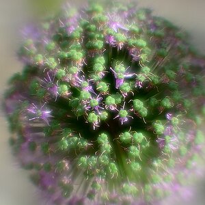 DSC 8154