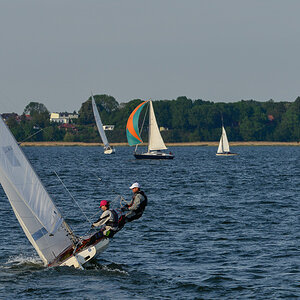 Regatta
