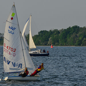 Regatta