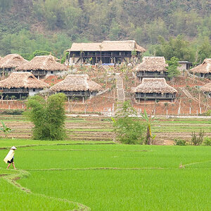 Vietnam 2014 1