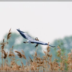 20140426 8375 [NIKON D7100] 850 mm,1 800 Sek. bei ƒ   8,0