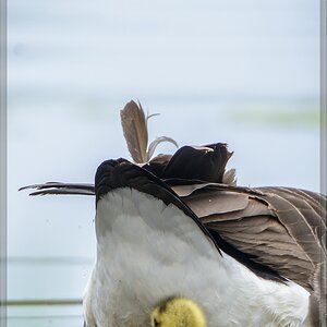 20140426 8409 [NIKON D7100] 850 mm,1 400 Sek. bei ƒ   6,3