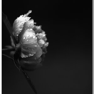 KR DSC 0841 1