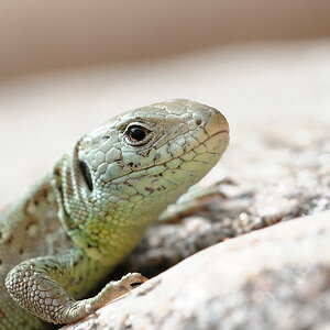 2012 04 29 17 48 49 D30 5340 copy
