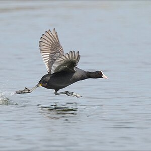 aacomp nabuwedel 20140501 2855