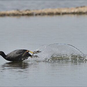 aacomp nabuwedel 20140501 2771