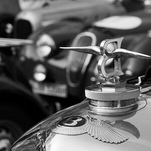 VintageRace 12