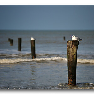 Norderney