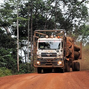 s160 Holzlaster 4230