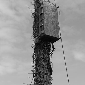 irland
strommast
schwarz weiß