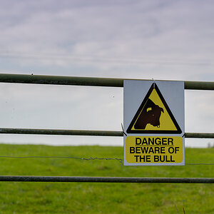irland
weidezaun
bulle
warnung