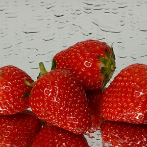 Erdbeeren