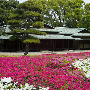Tokyo 14 23 04 2014 1045027