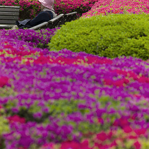 Tokyo 14 23 04 2014 1045036