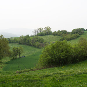 todi