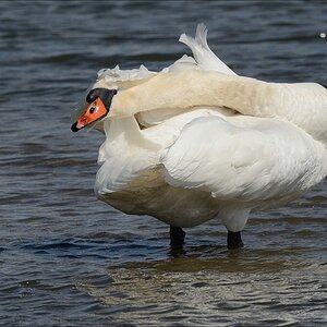 aacomp nordfriesland 20140503 0692