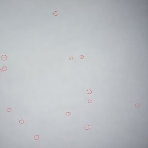 (Makiert)   Klein   Sensorflecken 04.04.2014 (350 Ausl. später) Nach Sensorreinigung
