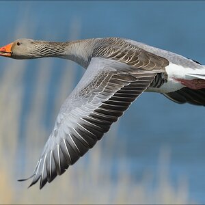 aacomp nordfriesland 20140503 0798