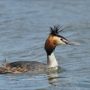 aacomp nordfriesland 20140503 1302