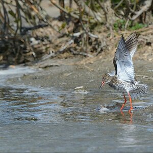aacomp nordfriesland 20140503 0902