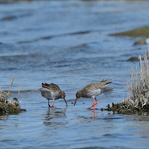aacomp nordfriesland 20140503 0908