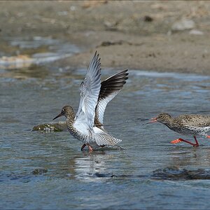 aacomp nordfriesland 20140503 0919