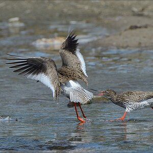 aacomp nordfriesland 20140503 0920