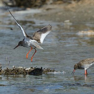 aacomp nordfriesland 20140503 0922